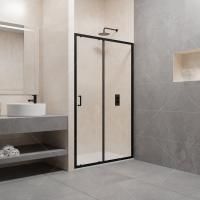 Душевая дверь в нишу RGW Passage PA-14B 1000x1950 профиль черный