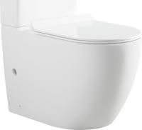 Чаша для унитаза-компакта Aquanet Cetus-C1