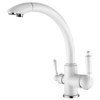 Смеситель для кухни Ganzer Rein GZ16031F с подключением к фильтру