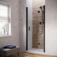 Душевая дверь в нишу Vegas Glass AFP LUX 100 02М 01 L профиль черный матовый, стекло прозрачное