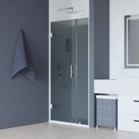 Душевая дверь в нишу RGW Hotel HO-012 1200х1950 профиль хром, стекло тонированное