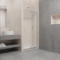 Душевая дверь в нишу RGW Passage PA-02 (970-1100)х1850 EasyClean