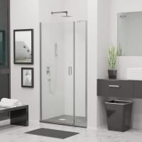 Душевая дверь в нишу RGW Leipzig LE-08 (860-890)х1950 профиль хром, стекло прозрачное