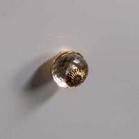 Ручка для мебели Armadi Art NeoArt Flora золото