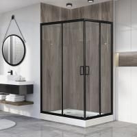 Душевой уголок Royal Bath HP RB8120HP-T-BL-L 120x80 с поддоном