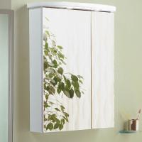 Зеркало-шкаф Aquaton Норма