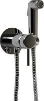 Гигиенический душ Paini Imola 53CR442RRU со смесителем, с внутренней частью