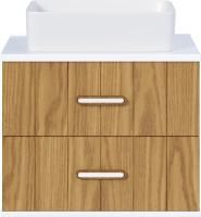 Тумба с раковиной Brevita Alskar 60