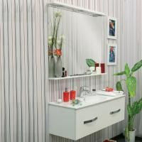 Мебель для ванной Sanflor Рио 100 подвесная