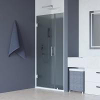 Душевая дверь в нишу RGW Hotel HO-012 1000х1950 профиль хром, стекло тонированное