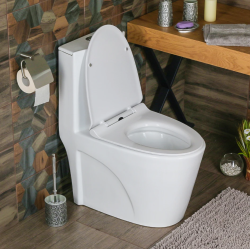 Унитазы-моноблоки Унитазы-моноблоки