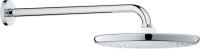 Верхний душ Grohe Tempesta 250 26668000