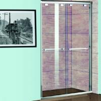 Душевая дверь в нишу Weltwasser WW550 550SС2-120