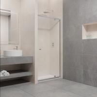 Душевая дверь в нишу RGW Passage PA-05 (860-910)х1850