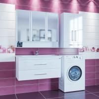Мебель для ванной СанТа Вегас 105 подвесная, 2 ящика
