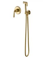 Гигиенический душ Wonzon & Woghand Steam WW-88849008-BG со смесителем