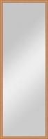 Зеркало Evoform Definite BY 0705 48x138 см вишня