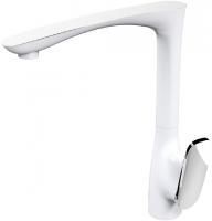 Смеситель для кухни Raiber Dunis R1202