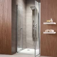 Душевая дверь в нишу Radaway EOS DWD 100 прозрачное стекло