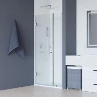 Душевая дверь в нишу RGW Hotel HO-012 1100х1950 профиль хром, стекло прозрачное