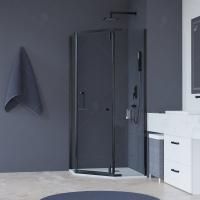 Душевой уголок RGW Hotel HO-081B 100х100 стекло тонированное