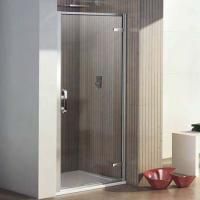 Душевая дверь в нишу Weltwasser WW900 900К1-100