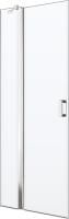 Душевая дверь в нишу Kermi Cada XS CK 1NL 10020 VPK 100 см, L
