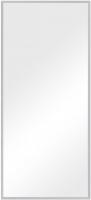 Зеркало Evoform Definite BY 1109 66x146 см сталь