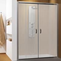 Душевая дверь в нишу Radaway Premium Plus DWD 160 стекло фабрик