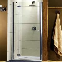 Душевая дверь в нишу Radaway Torrenta DWJ 120 прозрачное стекло L