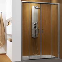 Душевая дверь в нишу Radaway Premium Plus DWD 160 прозрачное стекло