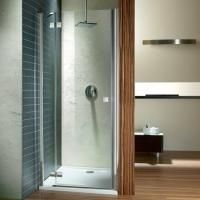 Душевая дверь в нишу Radaway Almatea DWJ 100 прозрачное стекло L