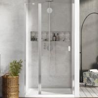 Душевая дверь в нишу Radaway Nes DWJ II 100 L