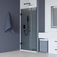 Душевая дверь в нишу RGW Hotel HO-012-B 1000х1950 профиль черный, стекло тонированное