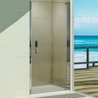 Душевая дверь в нишу Weltwasser WW600 600K1-80