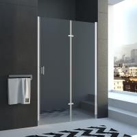 Душевая дверь в нишу Veconi Vianno VN42-120-01-19C1