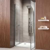 Душевая дверь в нишу Radaway EOS DWD 90 прозрачное стекло