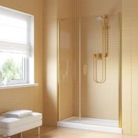 Душевая дверь в нишу Vegas Glass EP-F-2 LUX 110 09 crystalvision R профиль золото глянцевое, стекло crystalvision