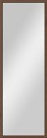 Зеркало Evoform Definite BY 0706 48x138 см орех