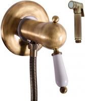 Гигиенический душ Rav Slezak Labe Mosaz L547SM со смесителем