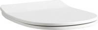 Крышка-сиденье ArtCeram Ten TEА005 с микролифтом, петли хром