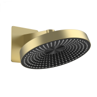 Верхний душ Wonzon & Woghand WW-HS099-BG