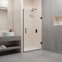 Душевая дверь в нишу RGW Passage PA-06B (880-900)х1950 профиль черный, стекло прозрачное