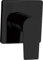 Смеситель для душа Aquanet Static AF330-50B с внутренней частью, черный