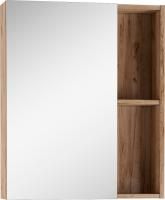 Зеркало-шкаф Домино Craft 60