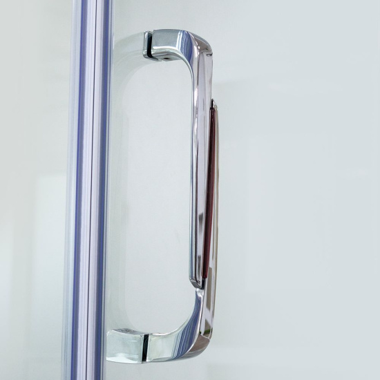 Душевая дверь в нишу RGW Safari SA-01 1200х1950