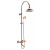 Душевая система с термостатом Altrobagno Beatrice 030403 R Or