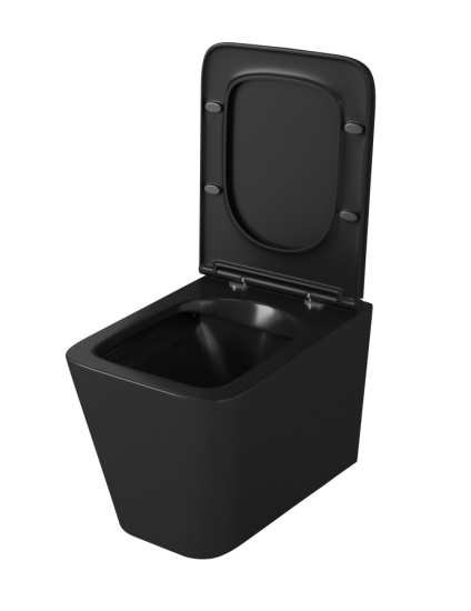 Подвесной унитаз Owl 1975 Vatter Ruta-H Matt Black OWLT190404 безободковый