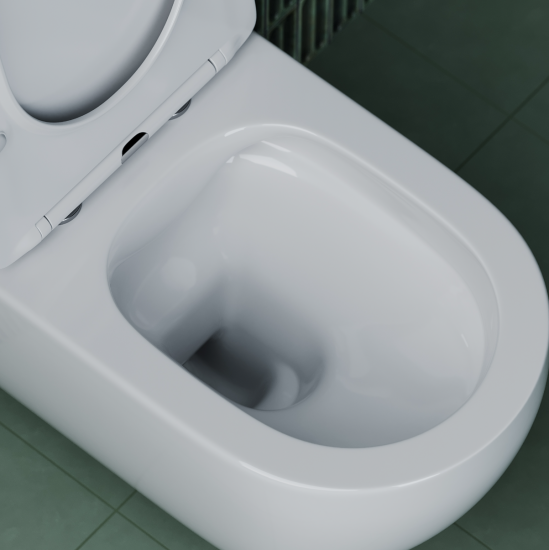 Подвесной унитаз Ceramicanova Long CN3015