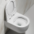 Унитаз подвесной Ceramicanova Modena CN6063